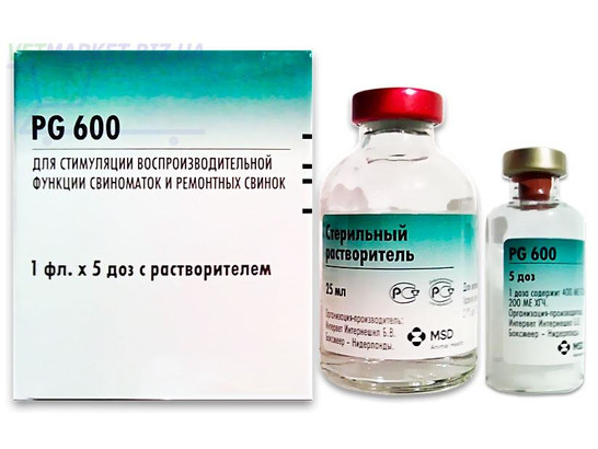 П.Г. 600 /5 доз + 25 мл растворитель /Интервет/