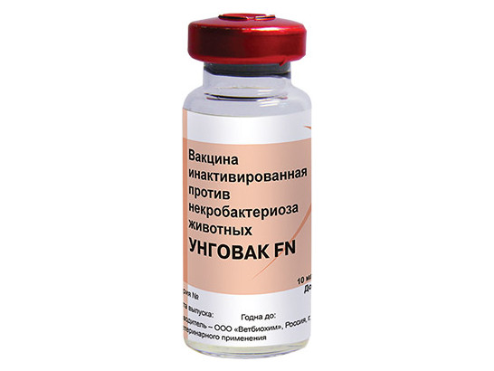 Вакцина Унговак FN против некробактериоза животных 10 мл/25 доз/ТД ПРОСТОР