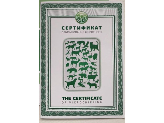 Свидетельство на микрочип макс 14%