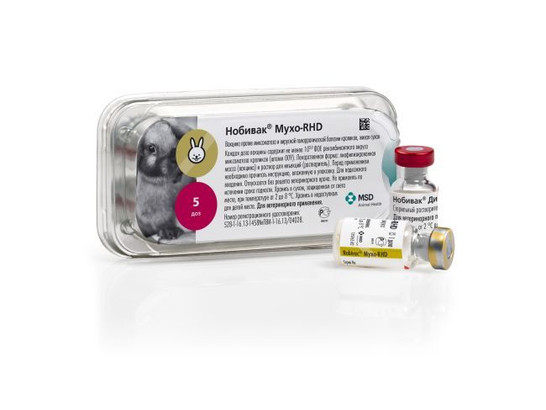 Вакцина Нобивак Myxo RHD5x1 д+5x1 мл раств/Интервет/