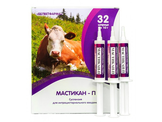 Мастикан-П шприц-катетер 10г 