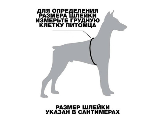 Шлейка 20мм Каскад Marli нейлон, о.г.44-55см