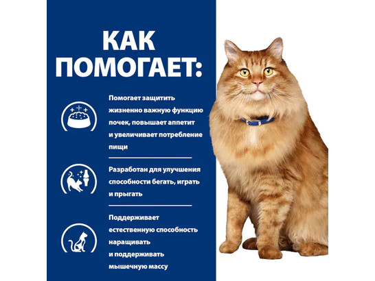 Hill's для кошек Prescription Diet k/d + Mobility, 1.5кг