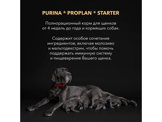 Pro Plan для щенков OptiStart Starter Small&Medium Mother&Puppies от 4х нед., 12.0кг