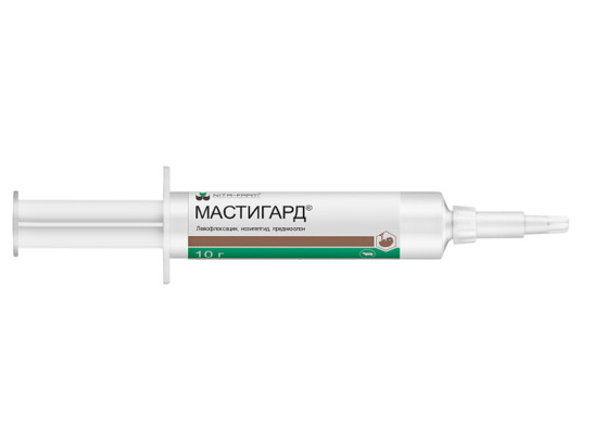 Мастигард 10г шприц-катетер 