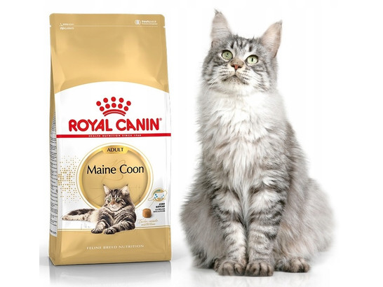 Роял Канин для кошек Maine Coon (Мейн кун), 10.0кг