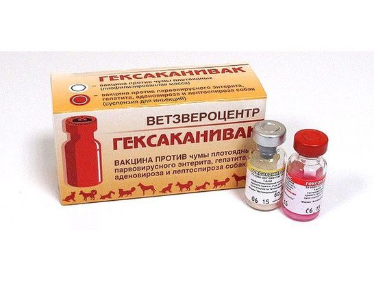 Вакцина Гексаканивак д/с 5 доз упаковка, ВЗЦ