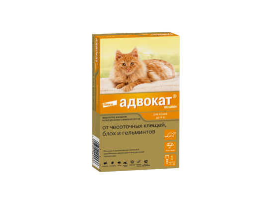 Капли Адвокат д/к до 4 кг, 1 пипетка, индивид упаковка, АКЦИЯ