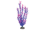 Растение Laguna Людвигия 40см, фиолетовая
