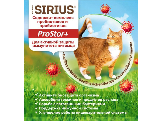 Sirius Premium для котят Kitten, Курица/Индейка 10.0кг