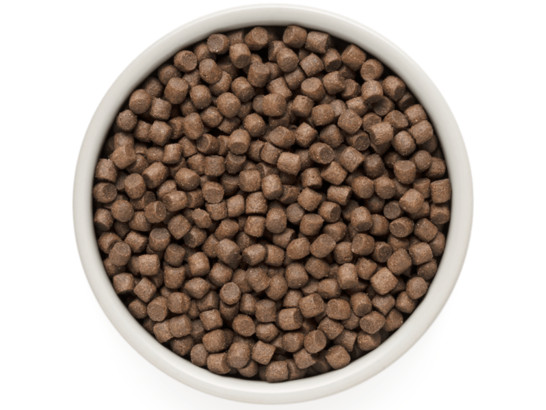 GRANDORF DOG MINI 4 Meat PROBIOTIC (4 мяса с пробиот. для собак мелк. пород) 3.0кг