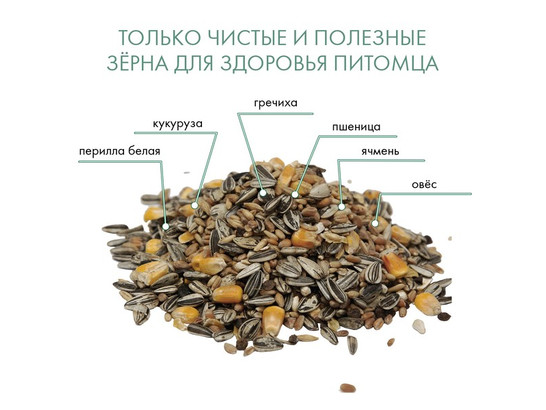 Корм FIORY д/крупных попугаев Classic 600г