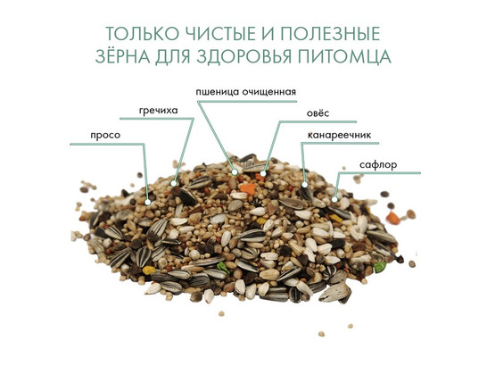 Корм FIORY д/средних попугаев Classic 650г