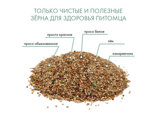 Корм FIORY для экзотических птиц Classic 400г