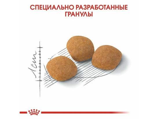 Royal Canin для кошек Protein Exigent, 4.0кг