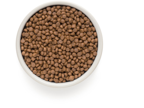 GRANDORF CAT STERILISED 4 Meat PROBIOTIC (4 мяса с пробиот. для стерилизованных кошек) 2.0кг