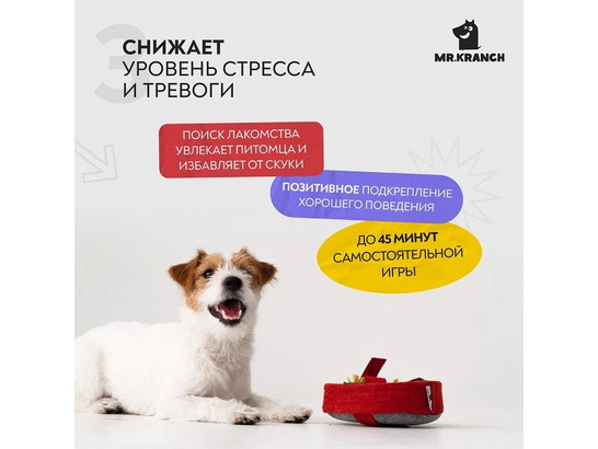 Игрушка д/с нюхательная Mr.Kranch Пицца, 18*18см