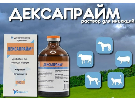 Дексапрайм (дексаметазон 4мг) 100мл