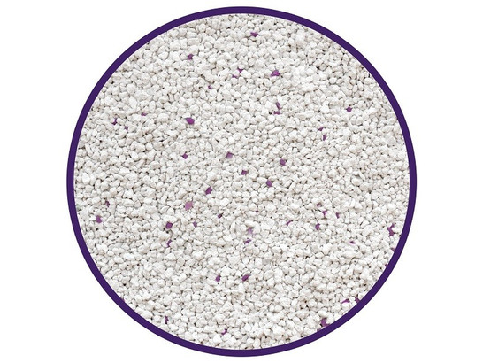 Наполнитель Кэт Степ 5л Compact White White Lavеnder, минеральный, комкующийся