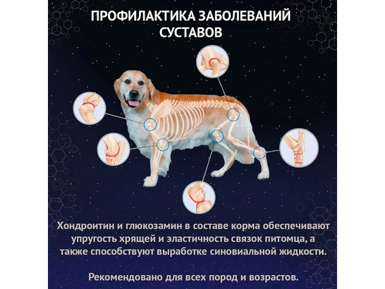 Прайм Эвер Superior для собак мелк. пород Индейка с рисом, 0.9кг
