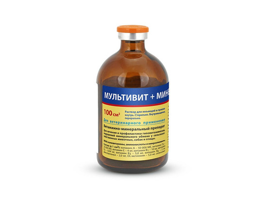 Мультивит+минералы 100 мл, Асконт+