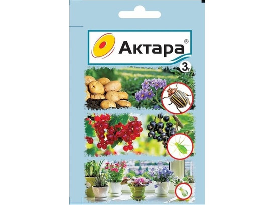 Актара 3г от колорад жука