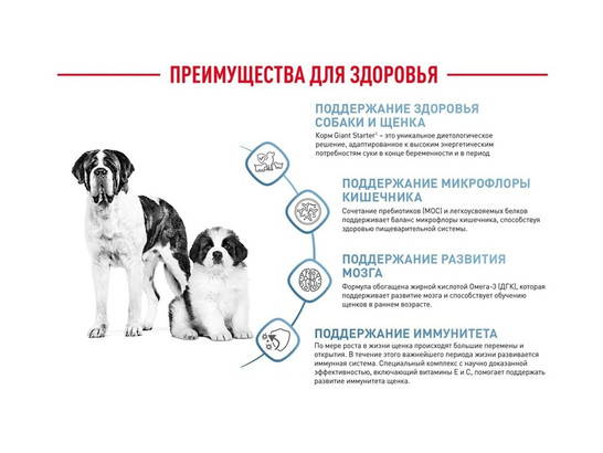 Royal Canin для щенков Giant Starter, 15.0кг