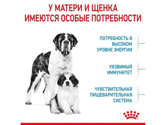 Royal Canin для щенков Giant Starter, 15.0кг