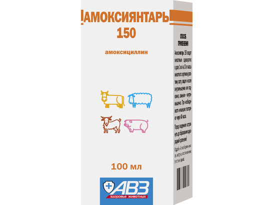 Амоксиянтарь 150 100мл