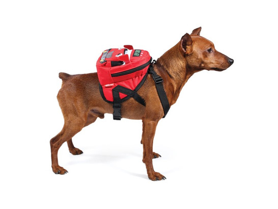 Рюкзак-шлейка д/с Триол 14*12*7,5см Автобус S, об.груди 40-50см, MINI DOGS