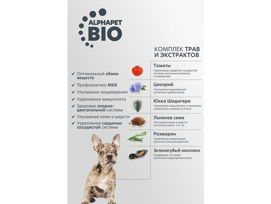 ALPHAPET для щенков средних пород, берем. и кормящих собак 7.0кг, Говядина и рис