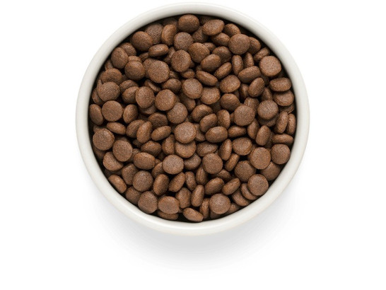 Premier Dog Turkey JUNIOR Medium&Maxi (Свежее мясо индейки для юниоров средних и крупных пород) 1.0кг