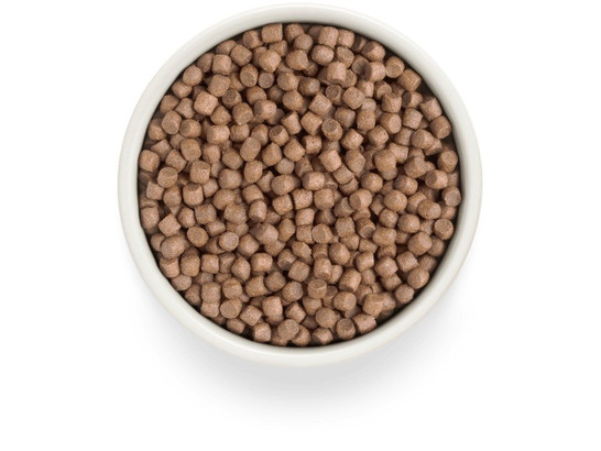 Premier Dog Turkey ADULT Mini (Свежее мясо индейки для собак мелких пород) 3.0кг