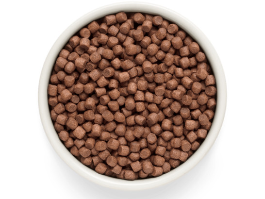Premier Dog Lamb&Turkey ADULT Mini (Свежее мясо ягненка с индейкой для собак мелких пород) 1.0кг