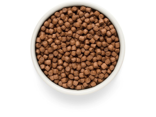 Premier Dog Salmon&Turkey ADULT Mini (Свежее филе лосося с индейкой для собак мелких пород) 3.0 кг