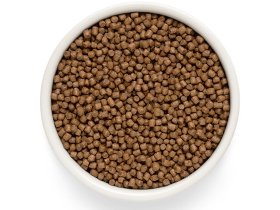 Premier Cat Turkey KITTEN (Свежая индейка для котят) 0.4кг