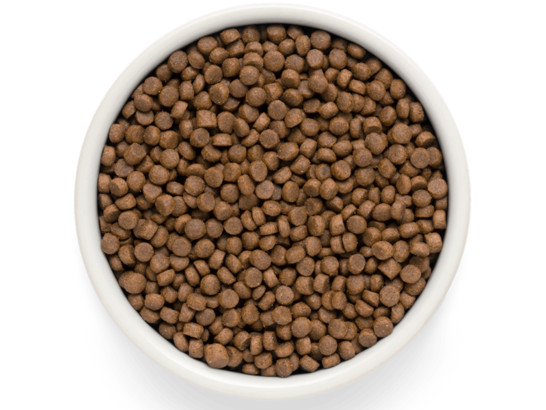 Premier Cat Turkey ADULT (Свежая индейка для кошек) 2.0кг