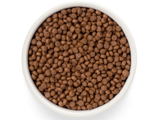 Premier Cat Salmon&Turkey ADULT (Свежее филе лосося с индейкой для кошек) 2.0кг