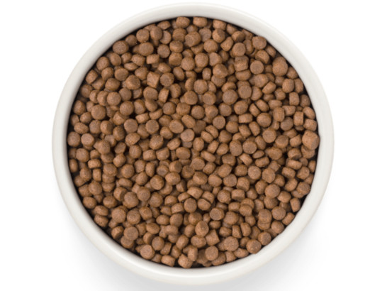 Premier Cat Salmon&Turkey STERILISED (Свежее филе лосося с индейкой для кошек) 2.0кг