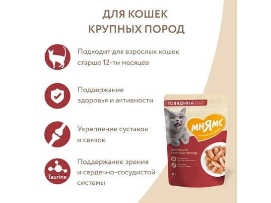 Мнямс д/крупных кошек 85г Кусочки в соусе с говядиной
