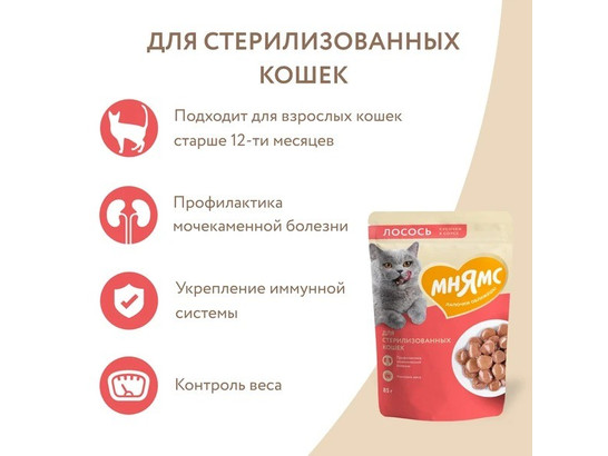 Мнямс д/к 85г Кусочки в соусе с лососем для стерилизованных