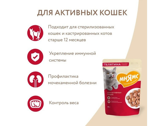 Мнямс д/к 85г Кусочки в соусе с телятиной для активных