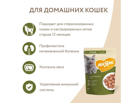 Мнямс д/к 85г Кусочки в соусе с уткой для домашних