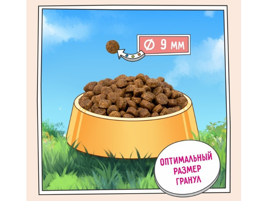 ZILLII Puppy для щенков всех пород Индейка с Ягнёнком, 15.0кг