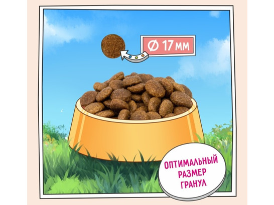 ZILLII Adult Dog для взрослых собак всех пород, Индейка с Ягнёнком, 0.8кг