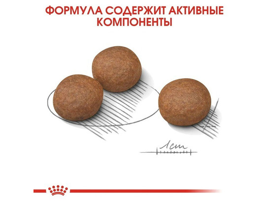 Royal Canin для собак Medium Digestive Care, 3.0кг 
