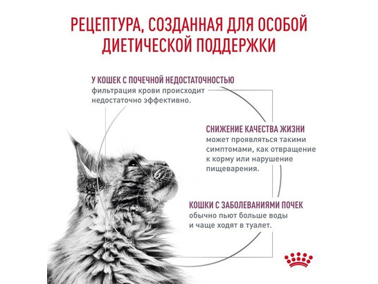 Royal Canin для кошек Renal, 0.35кг