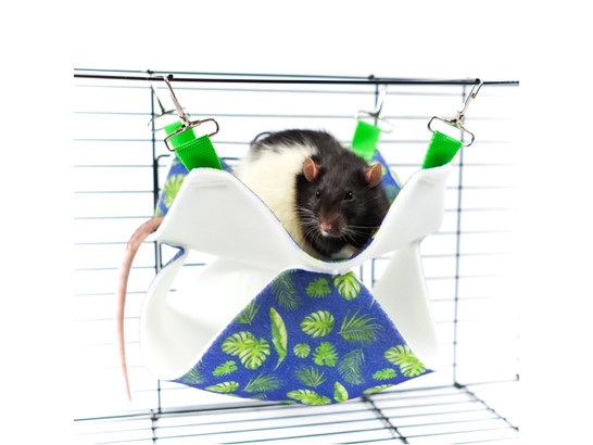 Гамак подвесной д/грызунов и хорьков Bambini Pets Двухуровневый, фетр, 23*23*6см