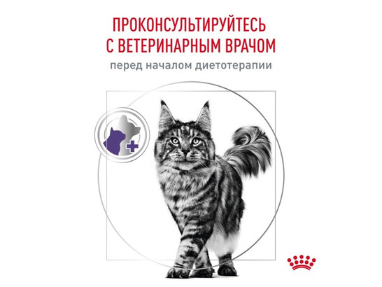 Royal Canin для кошек Neutered Maintenance, 0,085кг 
