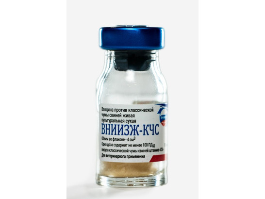 Вакцина против клас. чумы свиней живая культурная сухая 100 доз ОДИН флак, ВНИИЗЖ